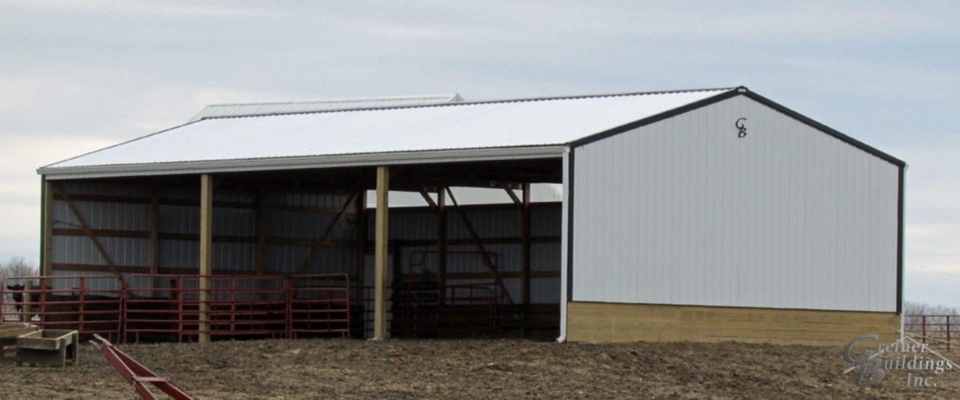 white cattle barn pole building