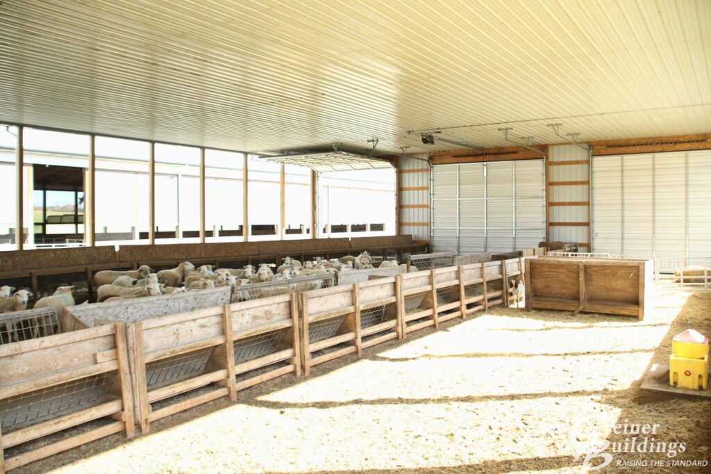 inside new livestock post frame building of year