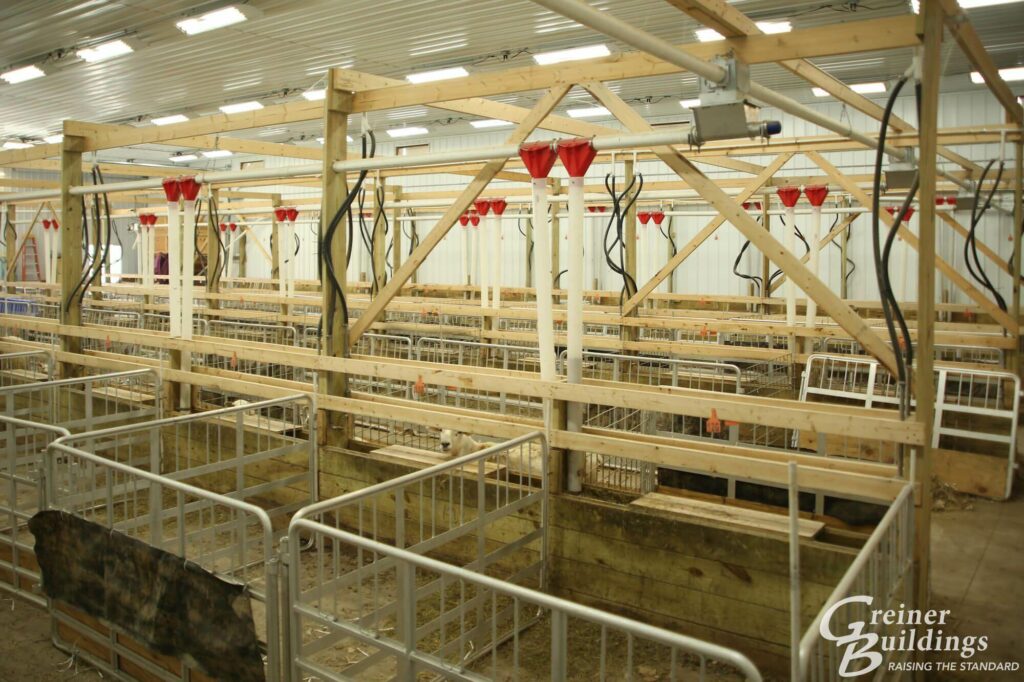 sheep stalls in new pole building