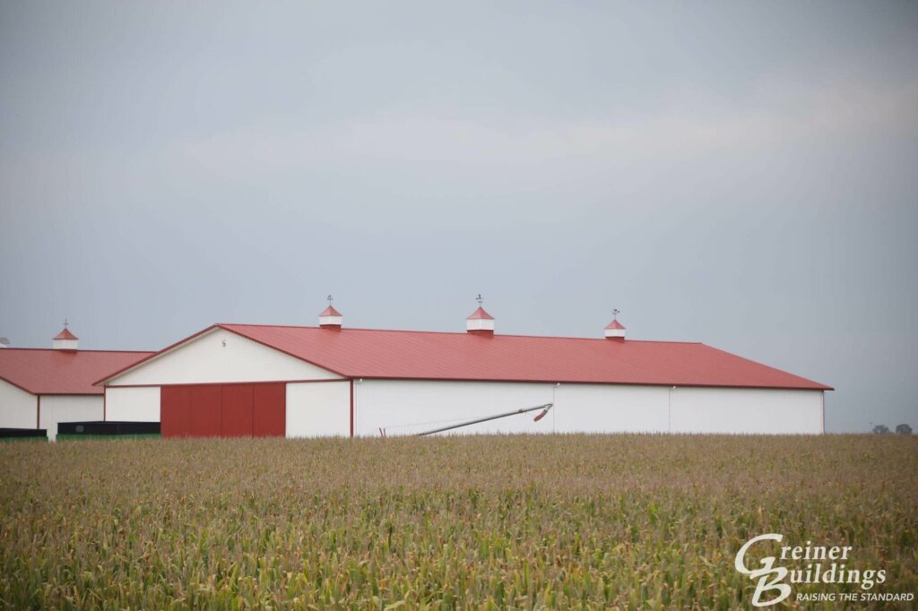 wide angle shot of red and white ag building in corn field
